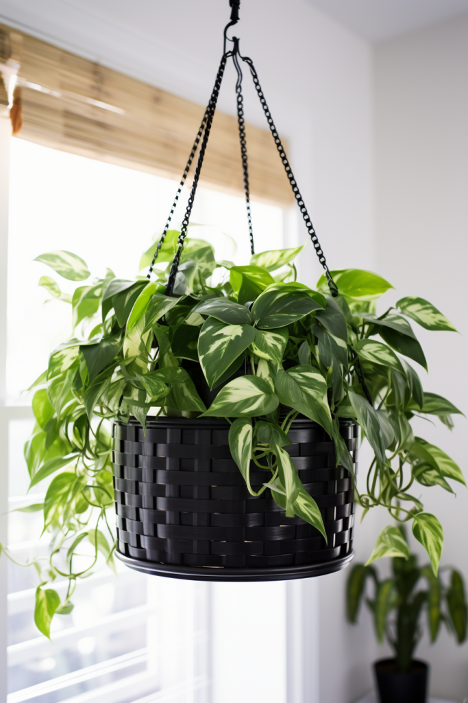 A black hanging planter with green plants in it, perfect for bathrooms.
