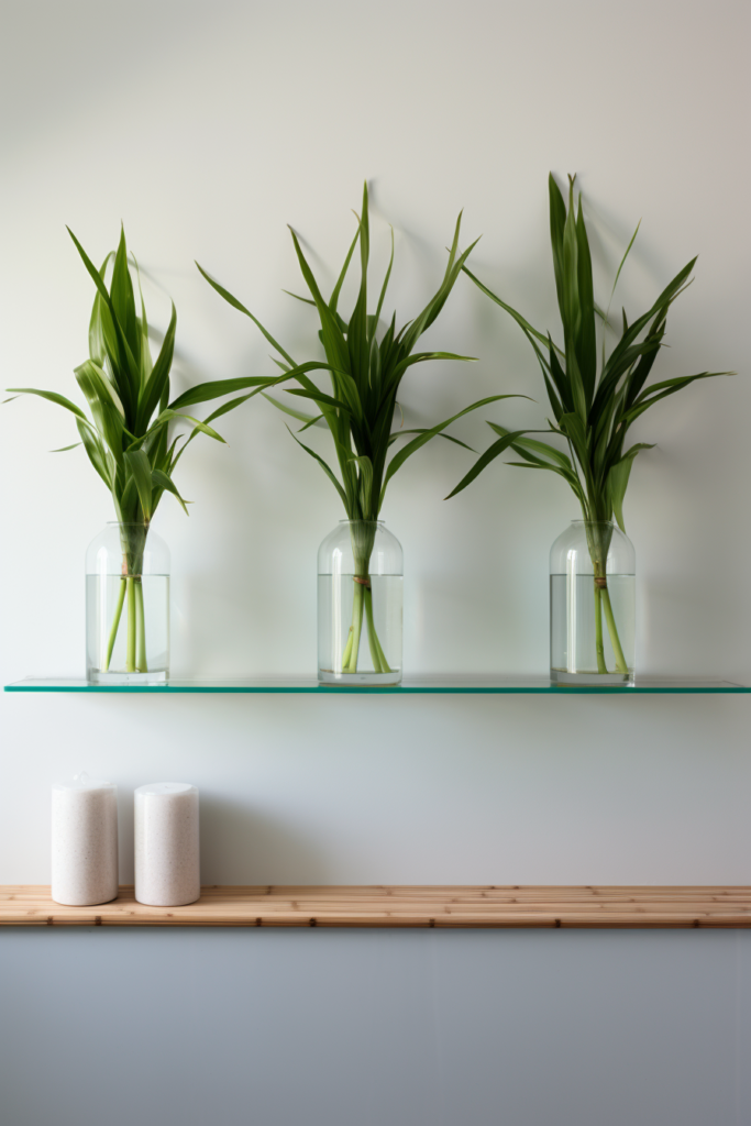 Three low-light glass vases with plants on a shelf.