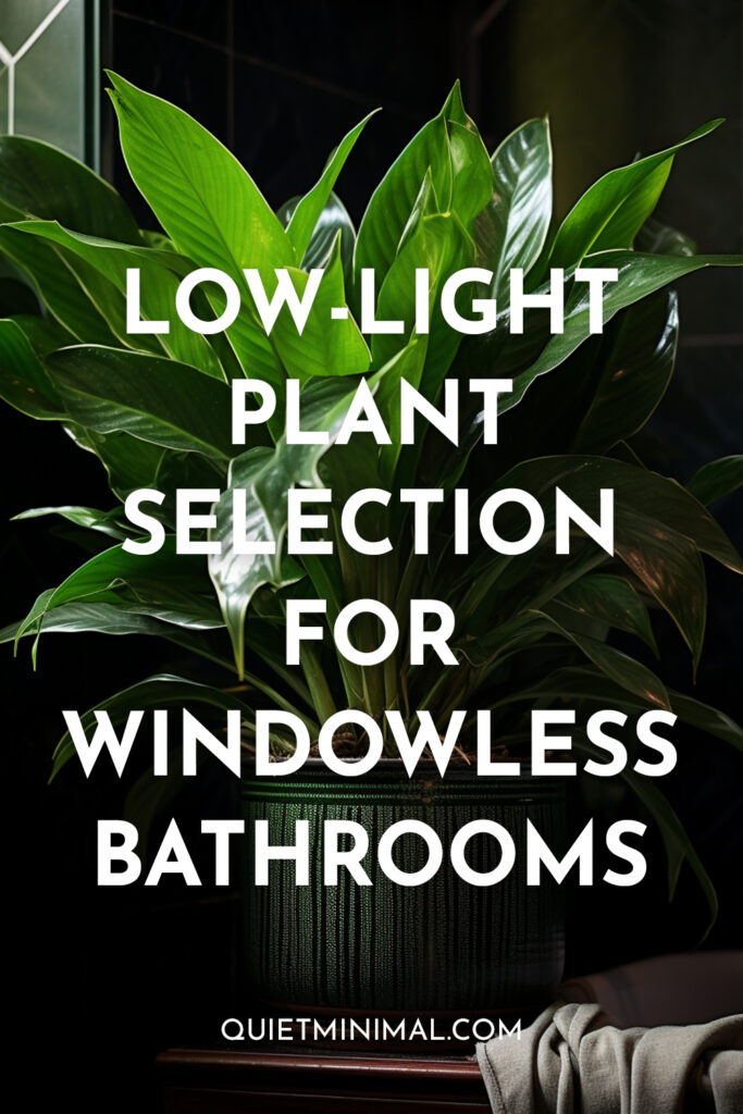 Low-Light plant selection for windowless bathrooms.