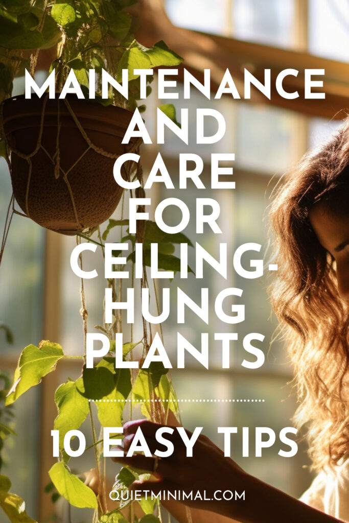 Maintenance and care for ceiling-hung plants.