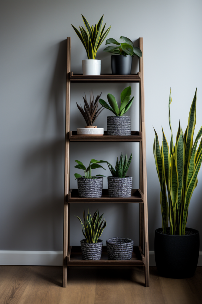 Utilizing vertical space, a wooden ladder offers storage for potted plants.